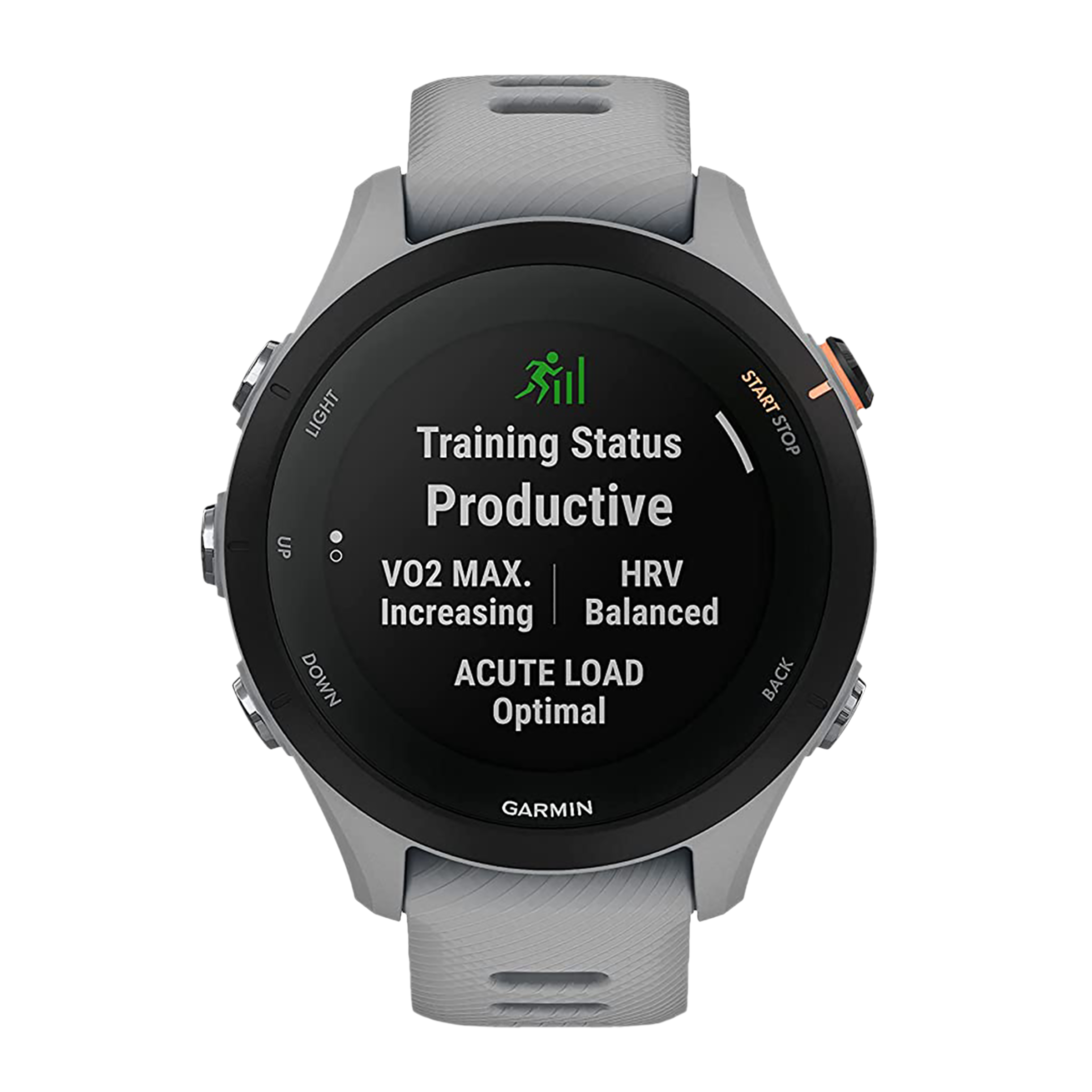 GARMIN Forerunner 255S Smartwatch with Activity Tracker (27.5mm MIP Display, 5ATM Water Resistant, Powder Gray Strap)
GARMIN Forerunner 255S Smartwatch with Activity Tracker (27.5mm MIP Display, 5ATM Water Resistant, Powder Gray Strap)