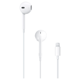 Buy Apple EarPods MMTN2ZM/A In-Ear Earphones with Mic (With Lightning Connector, White) Online - Croma