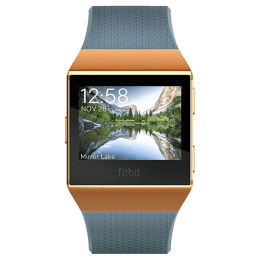 fitbit fb503cpbu ionic smartwatch