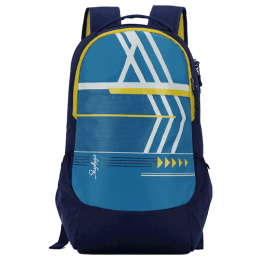 Skybags Virgo 03 30 L Backpack (BPVIR1BLU, Blue) Skybags Virgo 03 30 L Backpack (BPVIR1BLU, Blue)_1