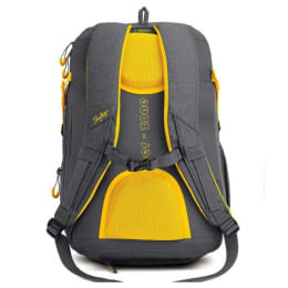 Sky Bags ION 02 36 Litres Laptop Backpack (LPBPION2GRY, Grey) Sky Bags ION 02 36 Litres Laptop Backpack (LPBPION2GRY, Grey)_4