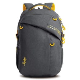 Sky Bags ION 02 36 Litres Laptop Backpack (LPBPION2GRY, Grey) Sky Bags ION 02 36 Litres Laptop Backpack (LPBPION2GRY, Grey)_1