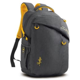 Sky Bags ION 02 36 Litres Laptop Backpack (LPBPION2GRY, Grey) Sky Bags ION 02 36 Litres Laptop Backpack (LPBPION2GRY, Grey)_2