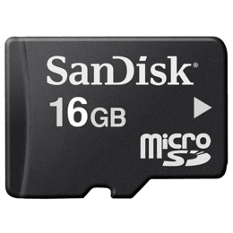Sandisk 16 GB Memory Card (Black) Sandisk 16 GB Memory Card (Black)_1
