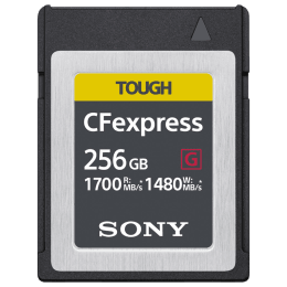 Sony 256 GB Memory Card (CEB-G256, Black) Sony 256 GB Memory Card (CEB-G256, Black)_1