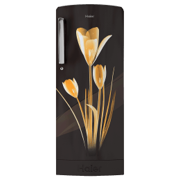 Buy Haier 192 Litres 3 Star Direct Cool Single Door Refrigerator With Base Drawer Hrd 1923pkl E Black Lily Online Croma