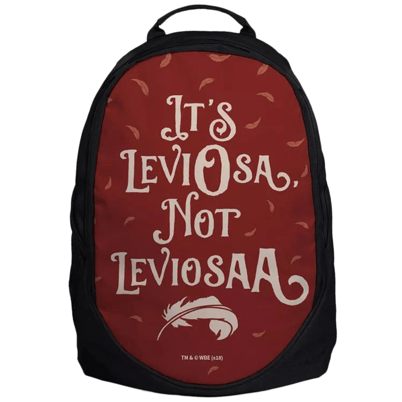 souled store backpack