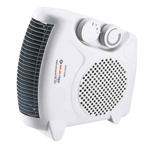 BAJAJ Majesty 2000 Watts Fan Room Heater (Auto Thermal Cutout, RX10, White)