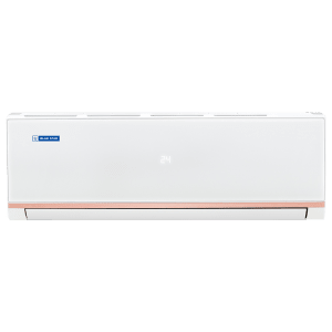 Blue Star PL 1.5 Ton 3 Star Split AC (2022 Model, Copper Condenser, Dust Filter, FA318PLU)