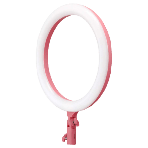 Godox LR120 Ring Light with Mobile Holder for Photography & Videography (Built-In Bi Color)