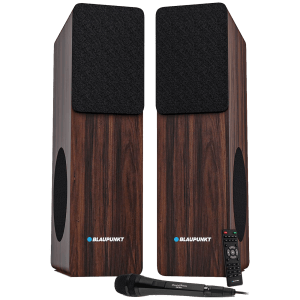 Blaupunkt TS120 120W Bluetooth Party Speaker with Mic (360 Degree Powerful Sound, 1.0 Channel, Brown)