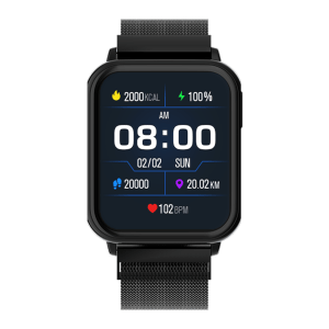 FIRE-BOLTT King Smartwatch with Bluetooth Calling (45.2mm AMOLED Display, IP67 Water Resistant, Black Strap)