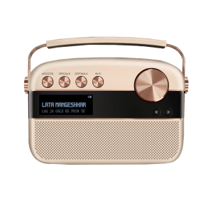 SAREGAMA Carvaan 10W Portable Bluetooth Speaker (Wi-Fi Connectivity, 2.0 Channel, Rose Gold)