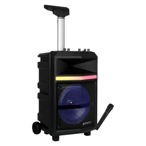 ZEBRONICS Zeb-Thump 100 28W Bluetooth Party Speaker with Mic (Built-in FM Radio, 2.1 Channel, Black)