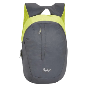 Skybags Zuke Backpack (Padded Shoulder Strap, BPZUK2GRY, Grey)