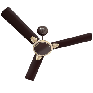 HAVELLS Equs 5 Star 1200mm 3 Blade BLDC Motor Ceiling Fan with Remote (Inverter Technology, Smoke Brown)