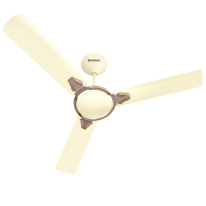 HAVELLS Equs 5 Star 1200mm 3 Blade BLDC Motor Ceiling Fan with Remote (Inverter Technology, Bianco Bronze)