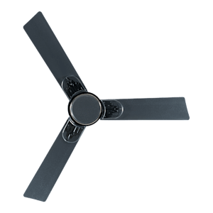 USHA Phi Beta 5 Star 1200mm 3 Blade BLDC Motor Ceiling Fan with Remote (Whisper Quiet Operation, Graphite Grey)