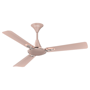 Crompton Premion Aura2 Designer 1 Star 1200mm 3 Blade Copper Motor Ceiling Fan (Duratech Technology, Rose Gold)