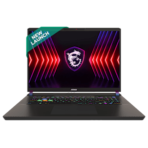 MSI Vector 17 HX A14VHG Intel Core i9 14th Gen Gaming Laptop (32GB, 2TB SSD, Windows 11 Home, 12GB Graphics, 17 inch 240 Hz QHD Plus Display, NVIDIA GeForce RTX 4080, Cosmos Gray, 3 KG)