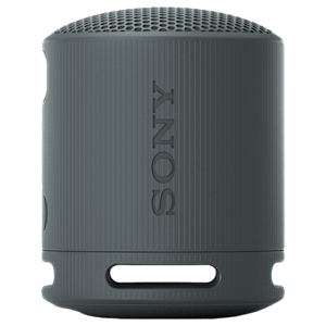 SONY SRS-XB100 2.5W Portable Bluetooth Speaker (IP67 Waterproof, 1.0 Channel, Black)