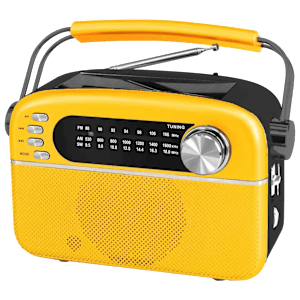 iGear Evoke 5 Watts Portable Bluetooth Speaker (Multimedia Connectivity, iG-1113, Yellow)