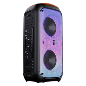 boAt Party Pal 300 120W Bluetooth Party Speaker with Mic (Bass & Treble EQs, Mono Channel, Premium Black)