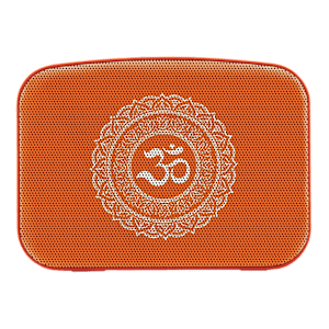 SAREGAMA Carvaan Mini 5W Portable Bluetooth Speaker (4 Hours Playtime, Stereo Channel, Orange)