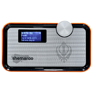 shemaroo Amrit Bani 5W Portable Bluetooth Speaker (LED Display, 5.0 Channel, Saffron)