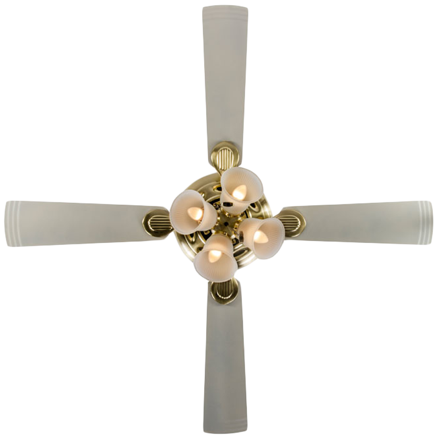 

Usha Fontana Orchid Ceiling Fan (8901420554475, Gold Ivory), No color