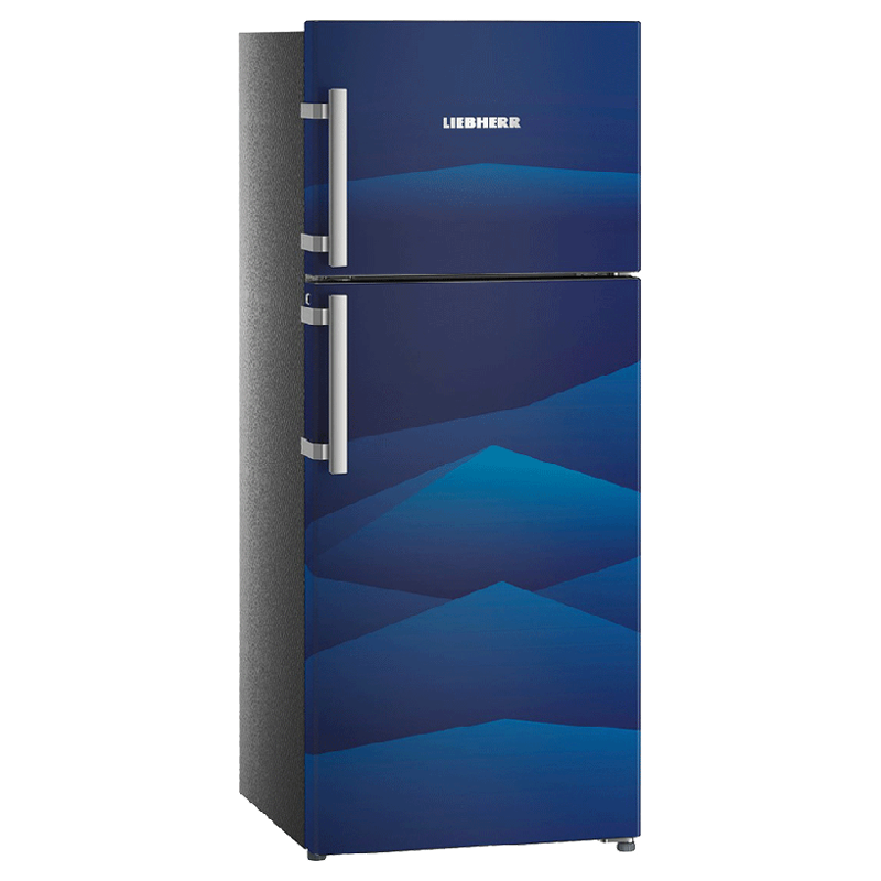 Liebherr 265 Litres 3 Star Frost Free Inverter Double Door Refrigerator (Stabilizer Free Operation, TCb 2620, Blue Landscape)_4