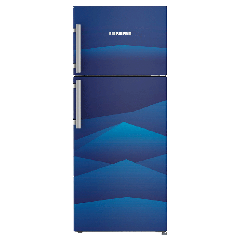 Liebherr 265 Litres 3 Star Frost Free Inverter Double Door Refrigerator (Stabilizer Free Operation, TCb 2620, Blue Landscape)_1