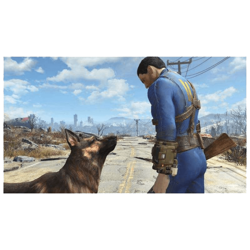 PS4 Game (Fallout 4)_4