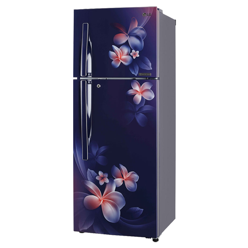 36+ Lg fridge price below 10000 information