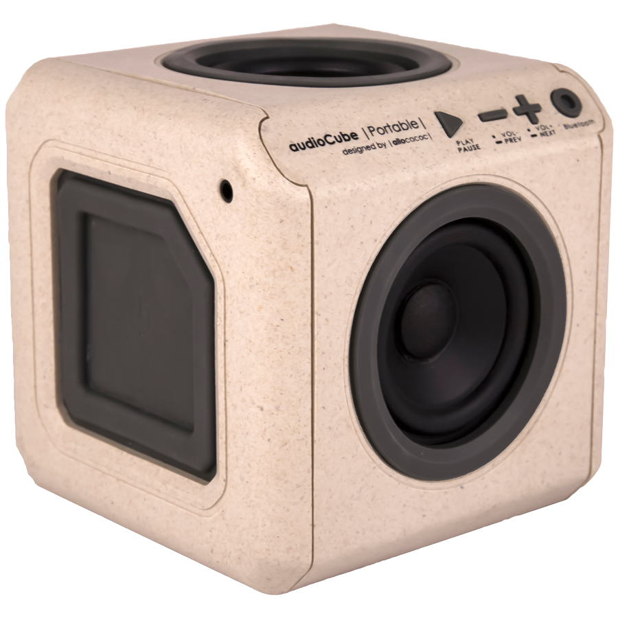Allocacoc Audiocube 30 watt Bluetooth Speaker (3702/INACWD, Wood)_1
