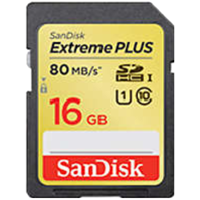 

Sandisk 16 GB SDHC Memory Card (SDSDXS-016G-X46, Black), No color