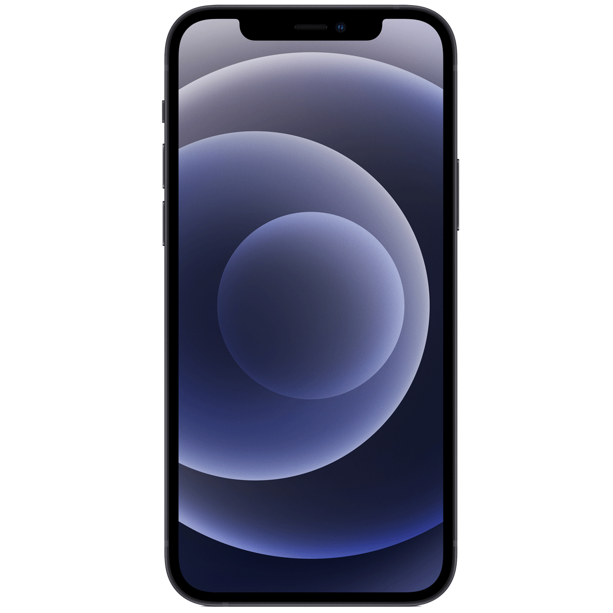 

Apple iPhone 12 (256GB ROM, 4GB RAM, MGJG3HN/A, Black), No color