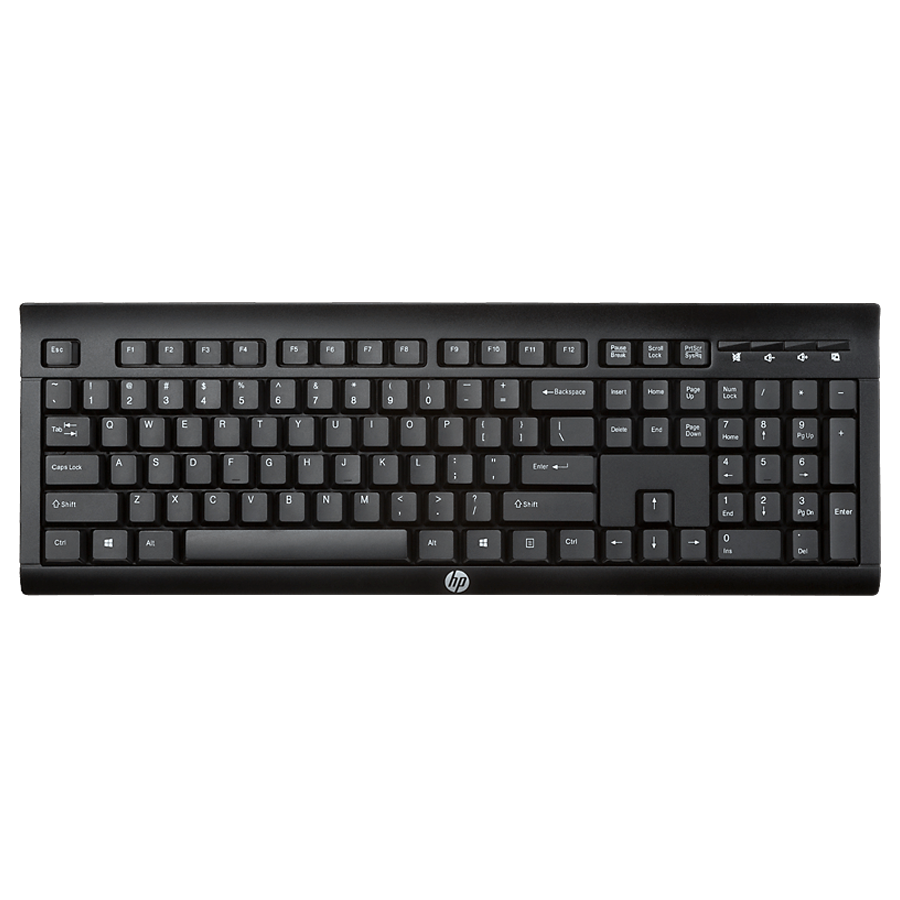 HP K2500 Wireless Keyboard (E5E77AA, Black)_1
