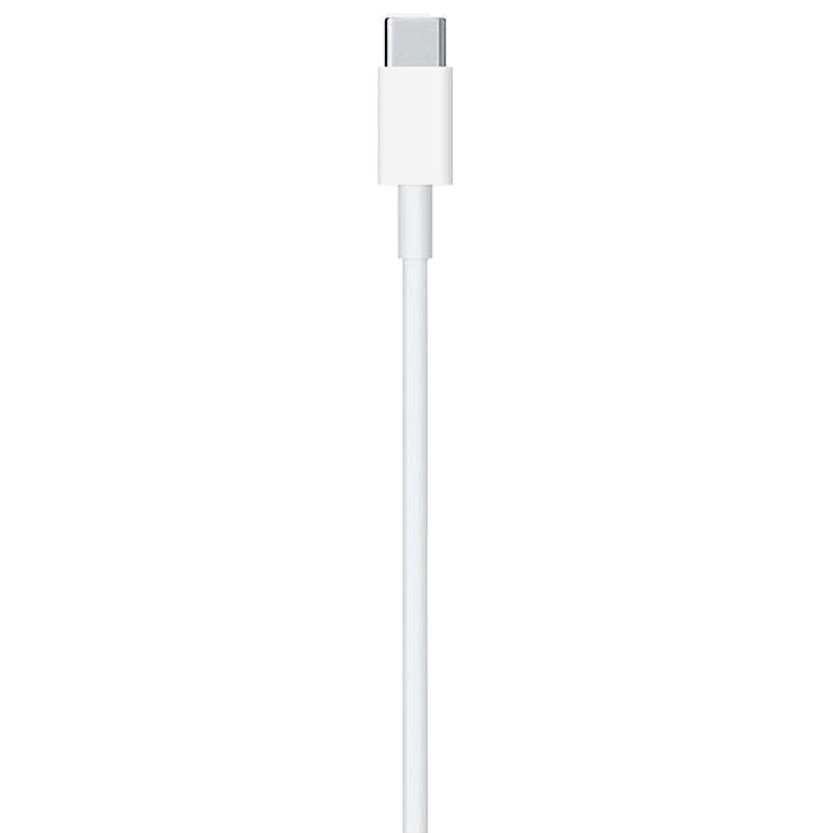 Apple 1 Meter USB 3.1 (Type-C) to Lightning Power/Charging USB Cable (For iPhones/iPads/iPods, MX0K2ZM/A, White)_4