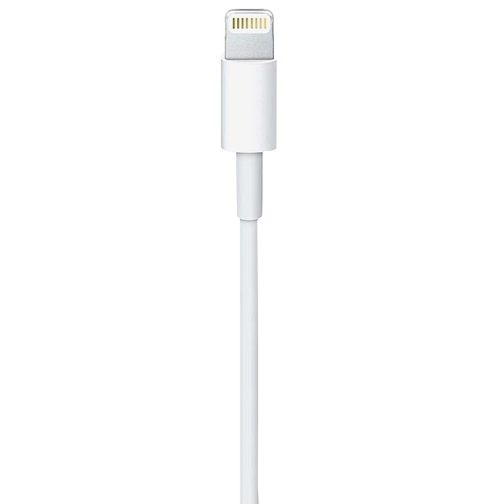 Apple 1 Meter USB 3.1 (Type-C) to Lightning Power/Charging USB Cable (For iPhones/iPads/iPods, MX0K2ZM/A, White)_3