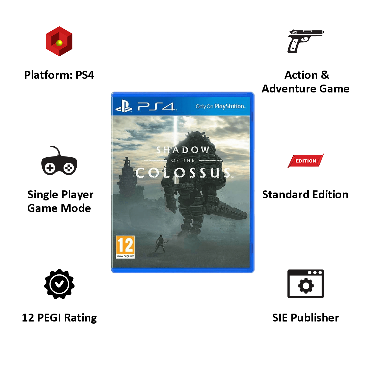 Shadow of the Colossus PS4 version, Software