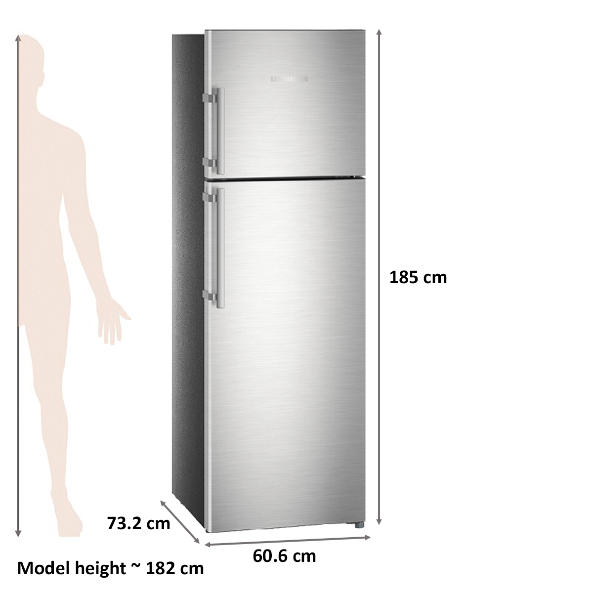 Liebherr 346 Litres 3 Star Frost Free Inverter Double Door Refrigerator (Central Power Cooling, TCss 3520, Stainless Steel)_2