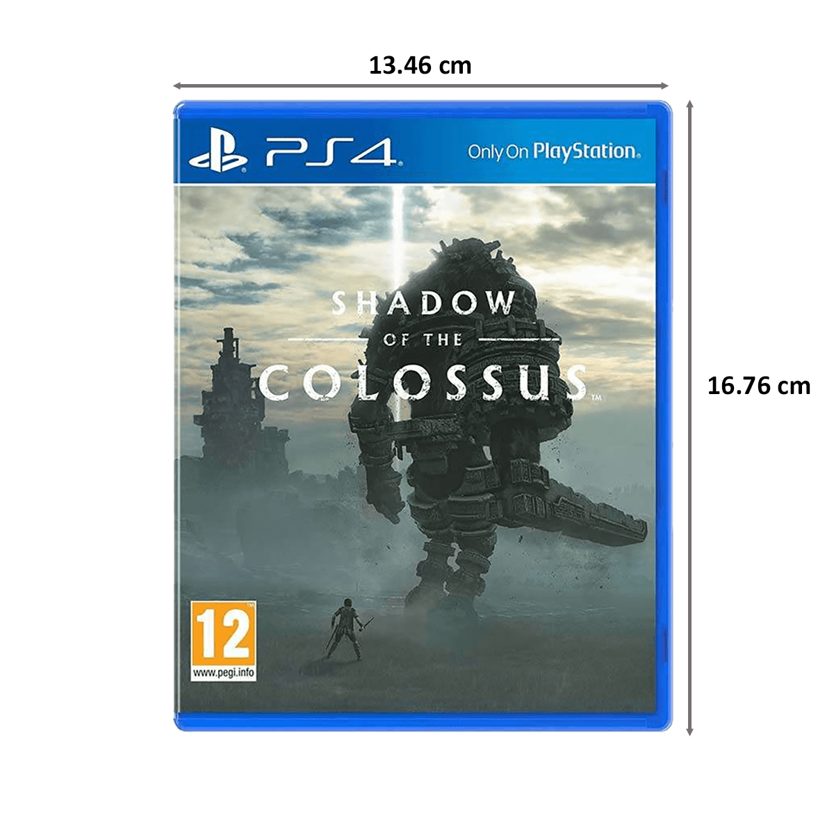 PS4 Game (Shadow of the Colossus)_2