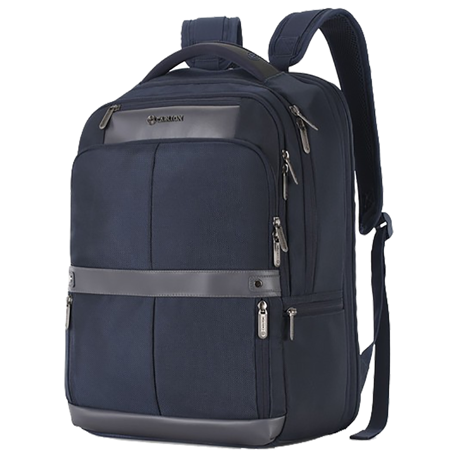 Buy Carlton Hampshire 02 26 Litres 1681 Faux Nylon Backpack for 17 Inch ...