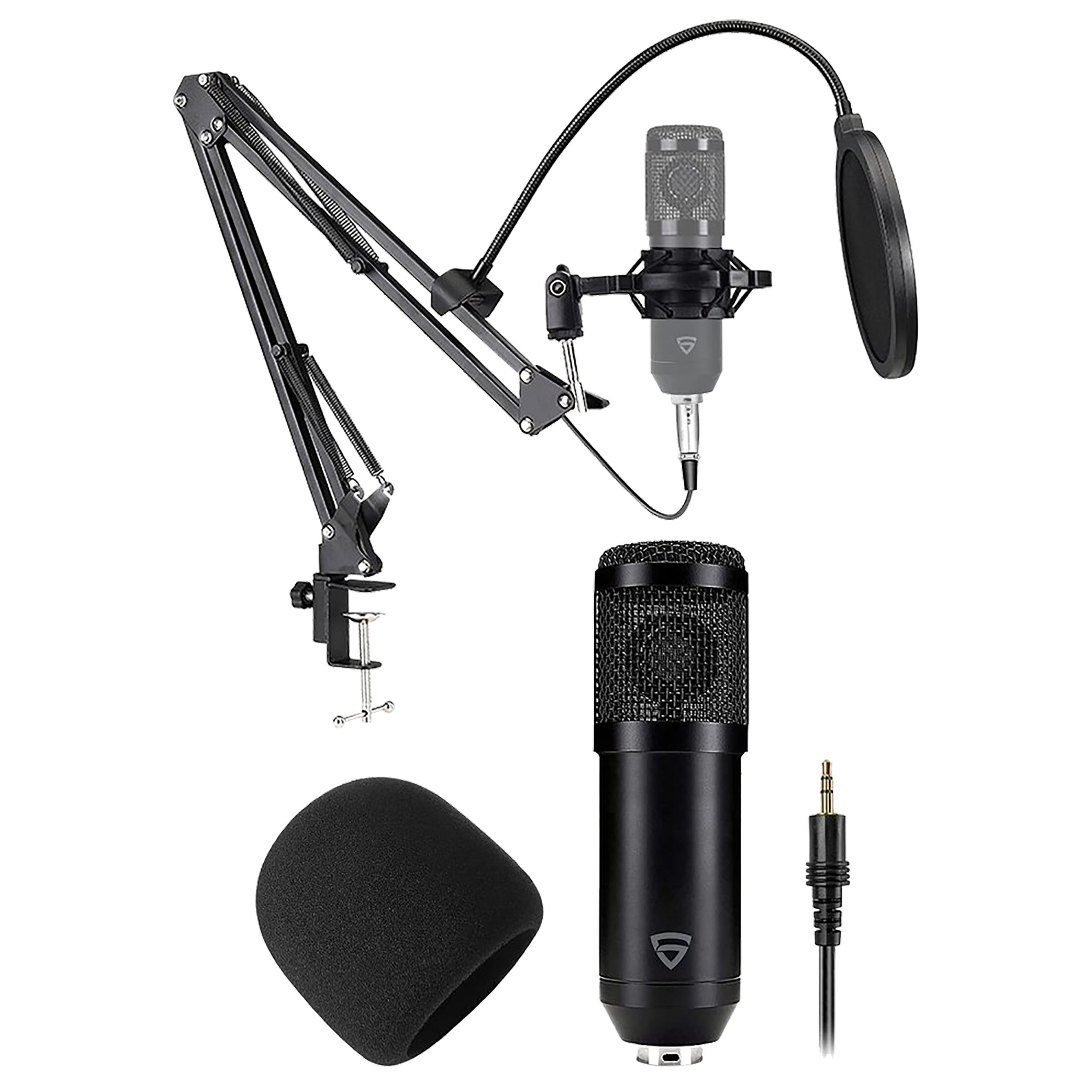 RAEGR Vocalz 250 Handheld Wired Condenser Microphone (Professional Sound Chipset, RG10218, Black)_1