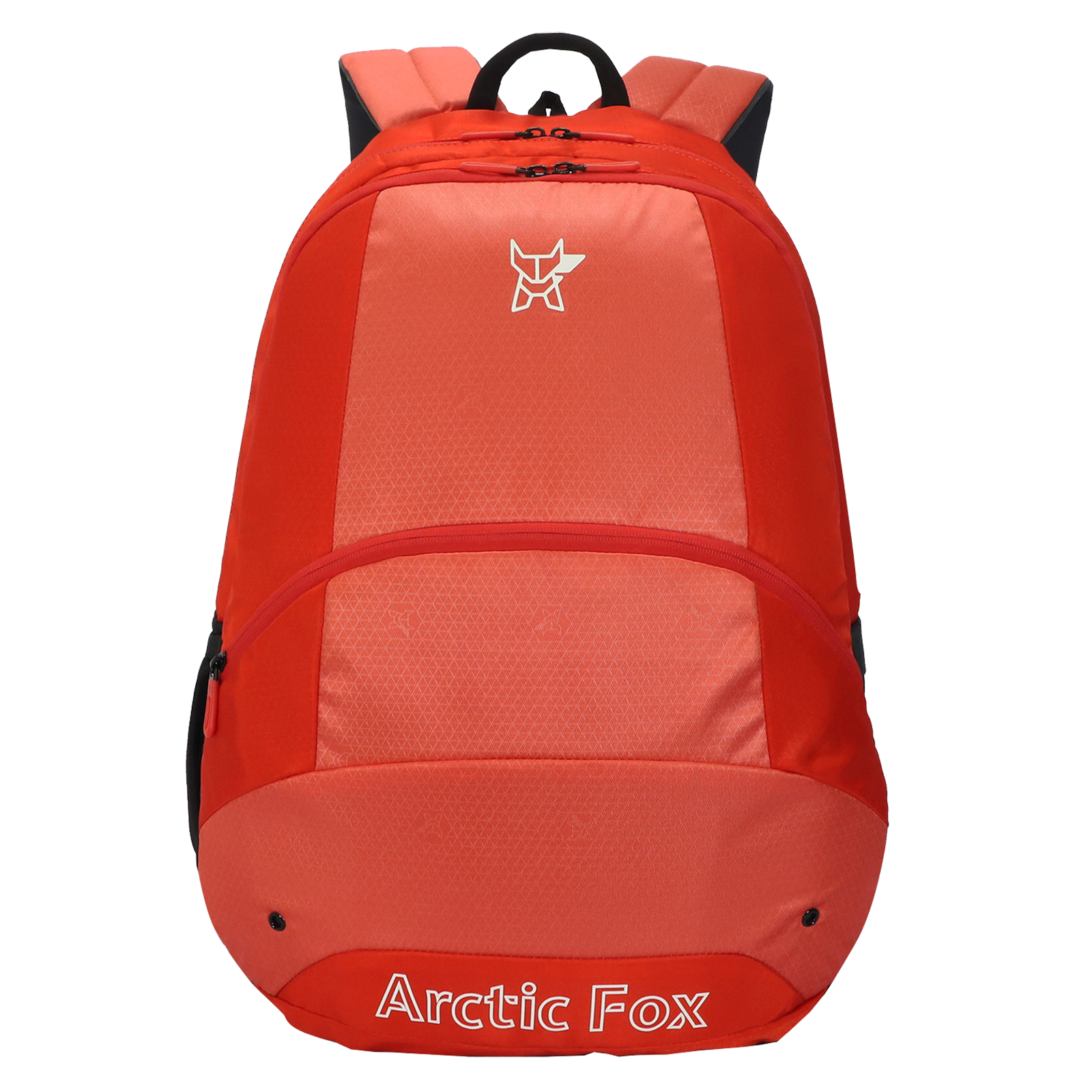 Arctic Fox Oval 29 Litres Polyester Laptop Backpack (Padded Shoulder Straps, FJUBPKFIRON044029, Fiery Red)_1
