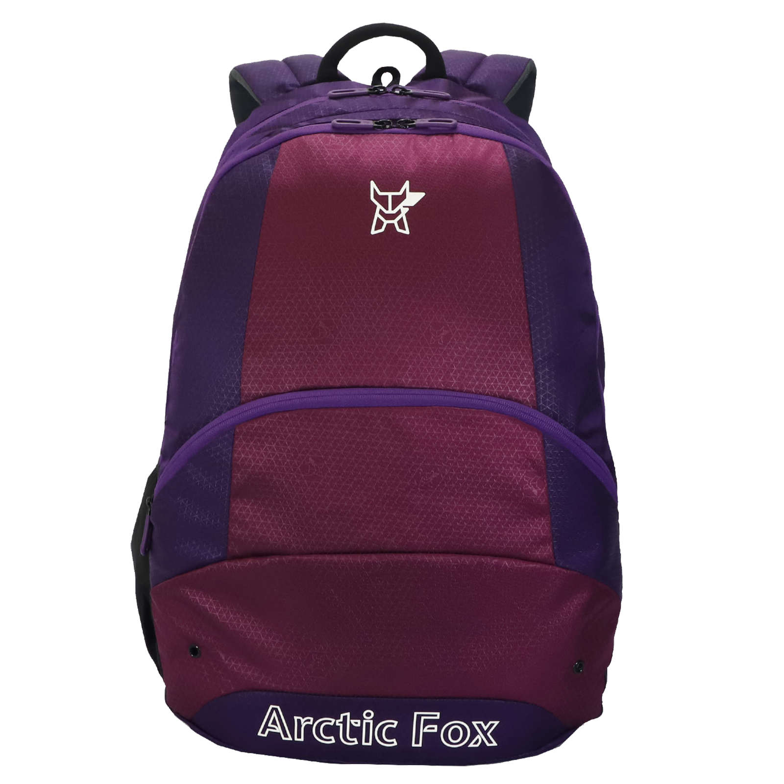 

Arctic Fox Oval 29 Litres Polyester Laptop Backpack (Padded Shoulder Straps, FJUBPKPETON043029, Petunia Purple)