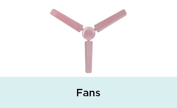 Fans