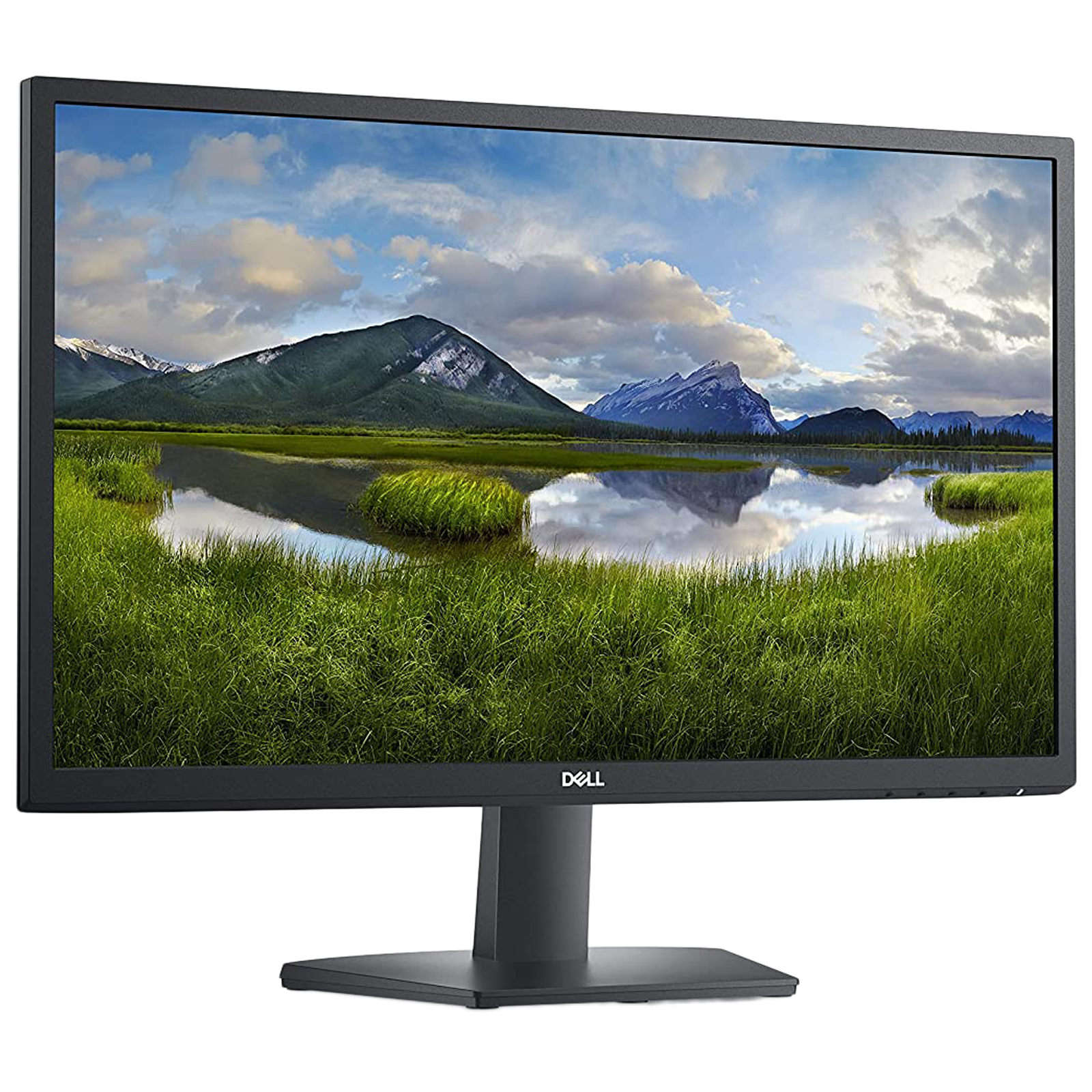 Dell SE2422H 60.96cm (24 Inches) Full HD Flat Panel Monitor (AMD FreeSync Technology, VGA + HDMI, 75 Hz, 210-AZGV, Black)_2