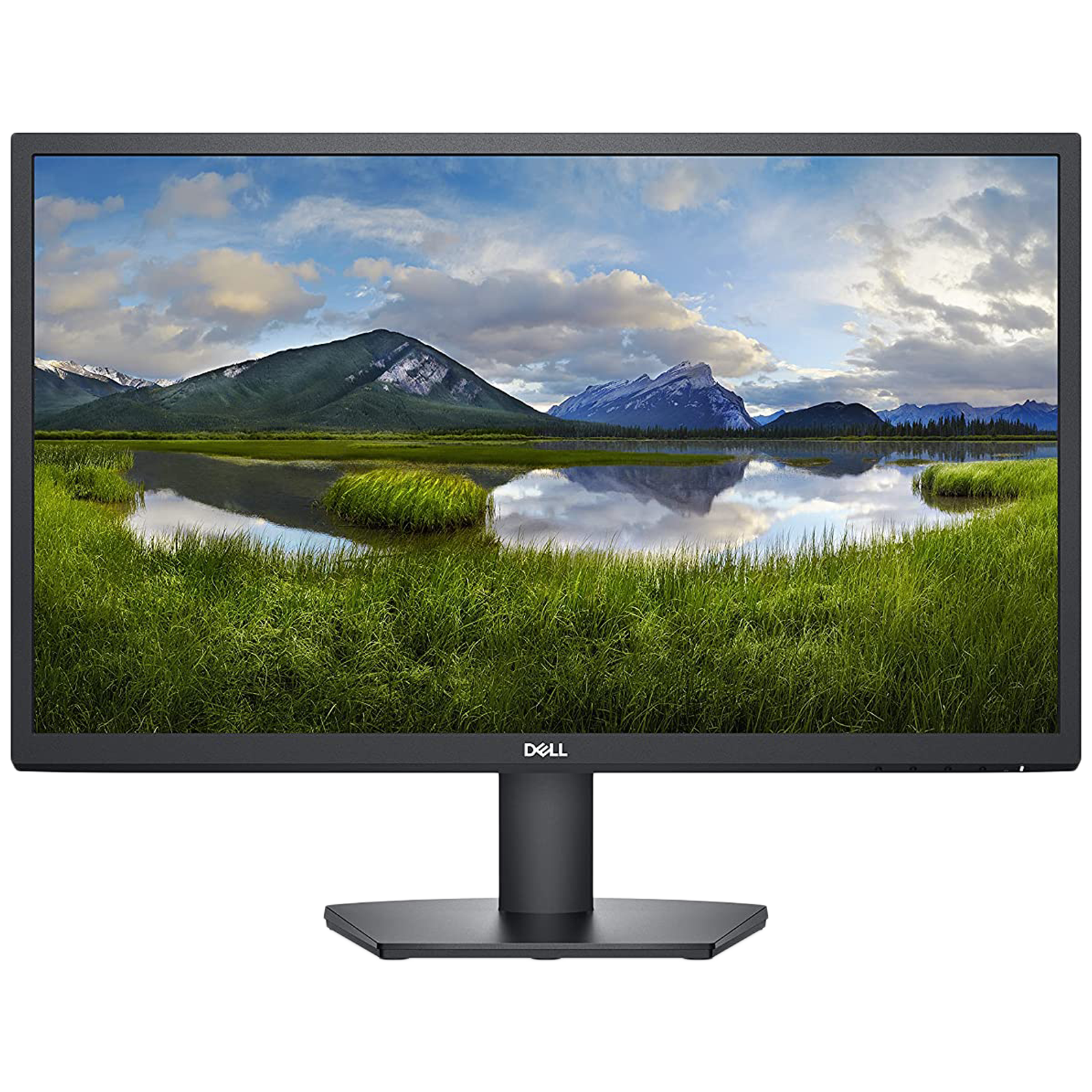 Dell SE2422H 60.96cm (24 Inches) Full HD Flat Panel Monitor (AMD FreeSync Technology, VGA + HDMI, 75 Hz, 210-AZGV, Black)_1